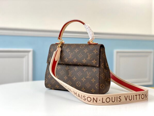 louis vuitton bag