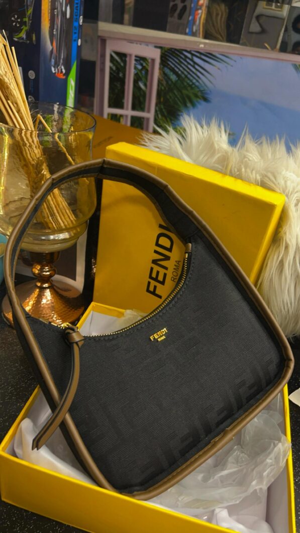 fendi bag